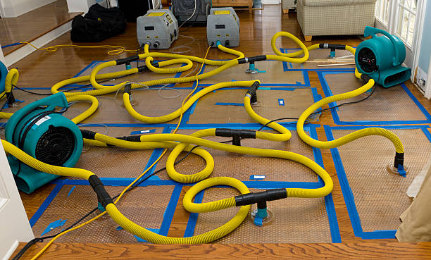 Professional Basement Flood Cleanup technician working in Blanco, TX